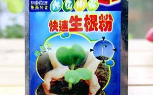 生根粉泡和浇哪个效果好,港其淋加盟