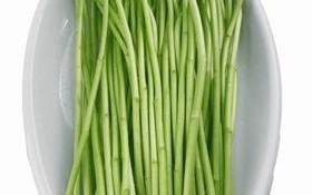 芦蒿哪里吃（芦蒿哪里的最好）