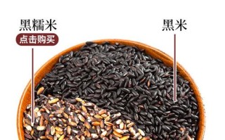 黑米哪里的好（黑糯米哪个地方的好）