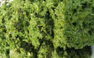 韭菜花哪里可以吃（韭菜花哪里可以吃啊）