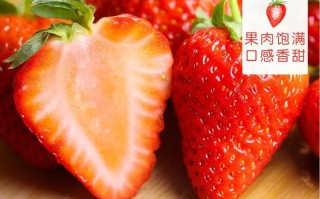什么口味的草莓好吃,奶油草莓哪里的好吃又甜