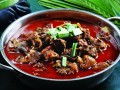 贵阳哪里有狗肉火锅（贵阳哪里有狗肉火锅吃）