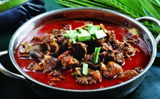 贵阳哪里有狗肉火锅（贵阳哪里有狗肉火锅吃）