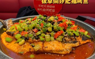 肥猫烤鱼怎么样（肥猫烤鱼怎么样好吃吗）