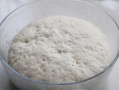 面粉发酵放在哪里（面粉发酵避光好还是见光好）