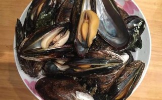 贻贝哪里能吃（贻贝哪里能吃哪里不能吃）