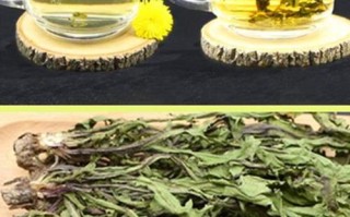 干的蒲公英泡哪里（干的蒲公英茶怎么做）
