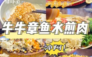 加盟章鱼水煎肉怎么样（牛牛章鱼水煎肉沙拉用的什么酱）