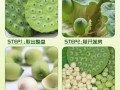莲蓬怎么挑才好吃,莲蓬哪里的好吃又便宜