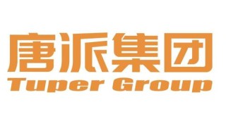 唐派集团是正规公司吗,济南唐派集团怎么样啊