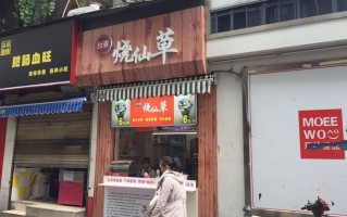 现在开烧仙草店怎么样（现在开烧仙草店怎么样啊）
