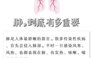 肺癌容易转移哪里,哪里适合养肺病人