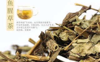 鱼腥草茶的功效是什么,鱼腥草茶哪里有卖的