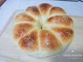 在哪里学做面包好（在哪里学做面包好）