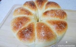 在哪里学做面包好（在哪里学做面包好）