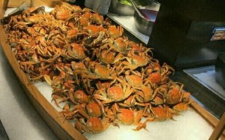 上海南翔十大必吃的饭店,嘉定哪里有好吃的自助餐