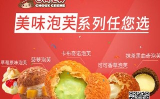 西树泡芙怎么样加盟（西树泡芙为什么那么贵）