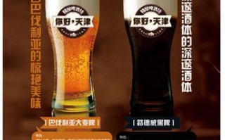 赞啤精酿怎么样（赞啤精酿啤酒怎么样）