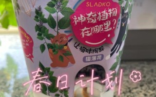 薄荷猫加盟怎么样（猫薄荷种植技术及亩收益）