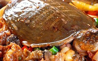 甲鱼哪里好吃（甲鱼哪里好吃又便宜）