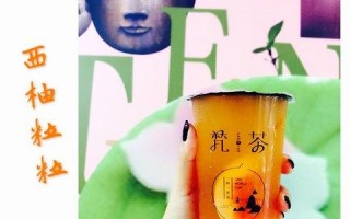 加盟净梵茶怎么样（梵和芃区别）