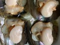 带子肉是猪肉哪个部位的,带子里面的肉都能吃吗