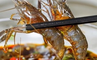 上海哪里吃醉虾（上海吃醉虾的地方）