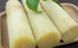 哪里甘蔗最好吃（哪里甘蔗最好吃最甜）