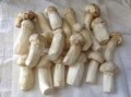 野生干香菇哪里好,哪里的松茸菇比较好吃