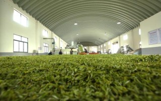 茶叶加工利润有多大,如创于茶的总部在哪里