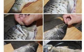 鲤鱼腥线在哪里（鲤鱼腥线怎么去掉）