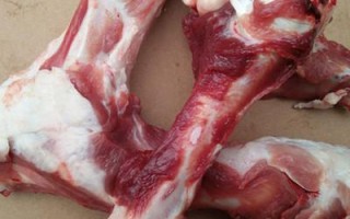 猪大骨哪里有卖的（猪大骨哪里有卖的啊）