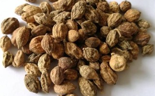 益智仁哪里的好（益智仁哪里的好?）