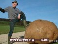 大洋芋是哪里的口音,哪里的土豆最大
