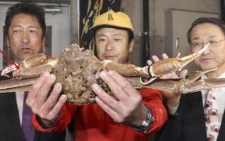 日本哪里吃海鲜（现在吃海鲜能受到核辐射吗）
