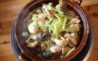 梧州哪里吃鸡（梧州哪里吃鸡好吃）
