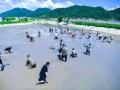 金华吃海鲜哪里好（金华附近赶海地点）