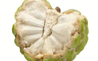 释迦果是一种什么水果,果唛奶茶怎么加盟