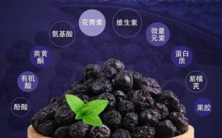 蓝莓干哪里产的最好,蓝莓哪里好吃