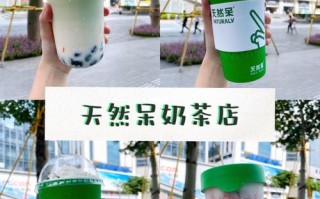 天然呆奶茶的特点,天然呆奶茶怎么样啊
