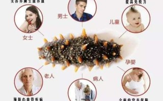 海参哪里不可以吃（海参哪里不可以吃）