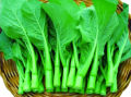 油菜和菜心是同一种蔬菜吗,菜心是哪里菜种