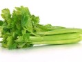 秦菜的代表菜,秦菜是什么