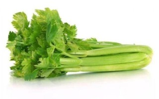 秦菜的代表菜,秦菜是什么