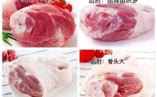 猪肘在猪的哪里（肘子是猪哪个位置）