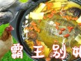 霸王别姬是什么地方的菜,霸王别姬哪里的菜系