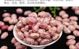腰豆是什么时候种植的,腰豆哪里最好吃