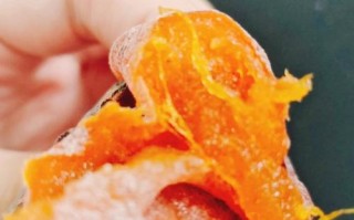 广西柿饼和陕西柿饼哪个好,哪里的柿饼最后发芽了