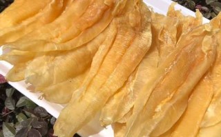 哪里花胶好（哪里花胶最好）