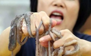 鱿鱼的嘴巴在哪里（鱿鱼吃和拉都是用嘴巴的）